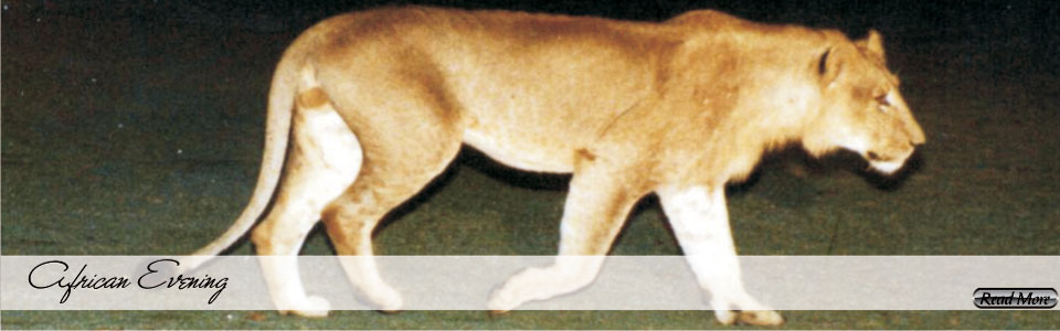 slide3